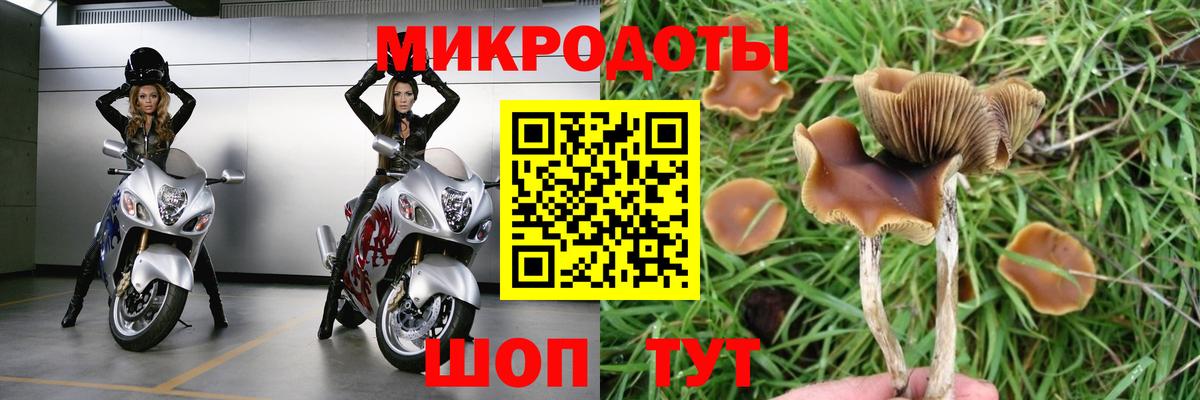 Галлюциногенные грибы мухоморы  Псилоцибиновые грибы Magic Shrooms  Вход с VPN  Нижнеудинск 