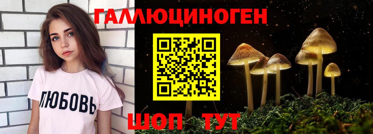 Псилоцибиновые грибы мухоморы Нижнеудинск